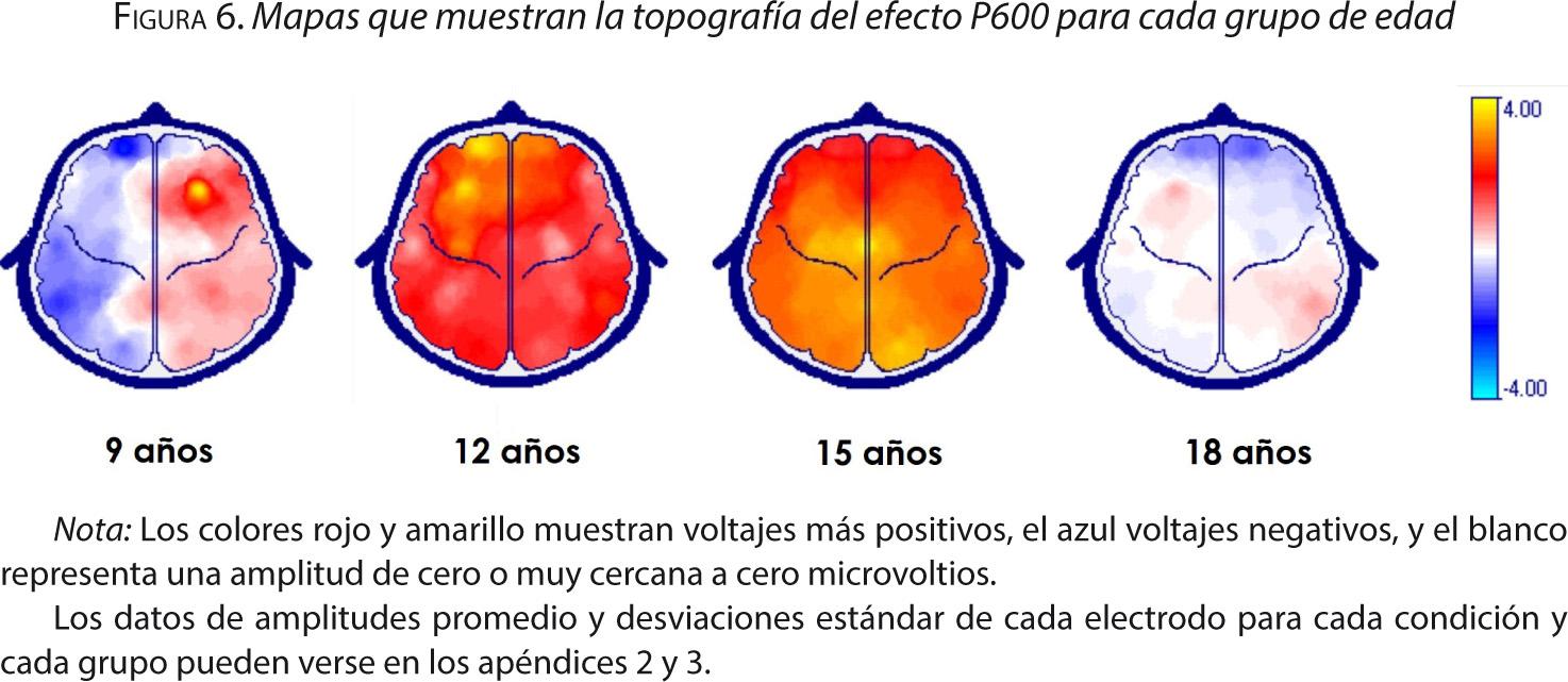 Figura 6. Mapas que muestran la topografía del efecto P600 para cada grupo de edad