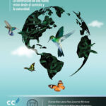 Educación con la Carta de la Tierra