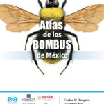 Atlas de los Bombus de México