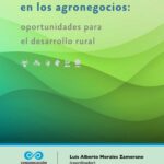 Un enfoque sistémico en los agronegocios : oportunidades para el desarrollo rural