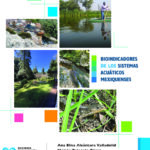 Bioindicadores de los sistemas acuáticos mexiquenses.