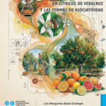 La agroindustria en cítricos de Veracruz y las formas de asociatividad